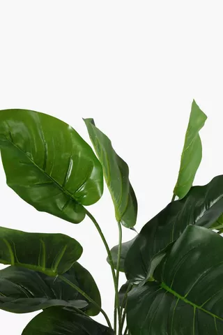 Leafy Potted Plant