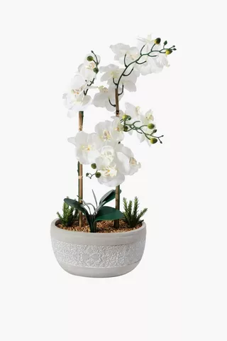 Cement Potted Orchid, Extra Large