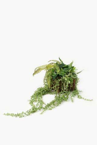 Hanging Multi Plant, Large
