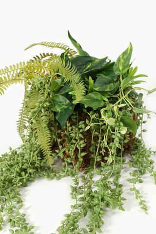 Hanging Multi Plant, Large