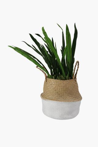 Woven Basket Grass, Xl