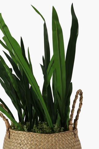 Woven Basket Grass, Xl