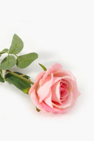 Elegant Rose Single Stem