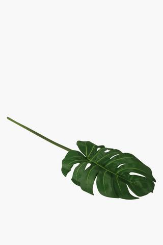 Delicious Monster Leaf, Large