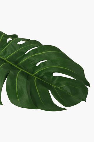 Delicious Monster Leaf, Large