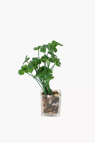 Glass Potted Plant Money Mini
