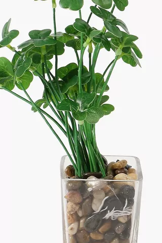 Glass Potted Plant Money Mini