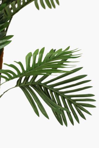 Potted Palm Tree Medium