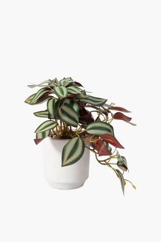 Ceramic Potted Wandering Jew