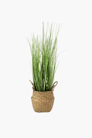 Rattan Potted Grass 48cm