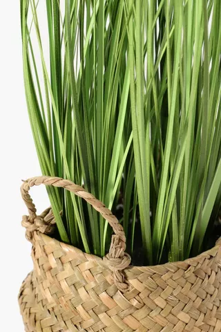 Rattan Potted Grass 48cm
