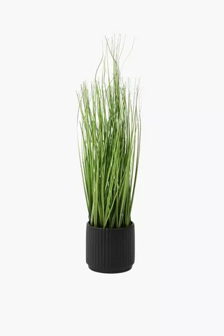 Ribbed Potted Grass
