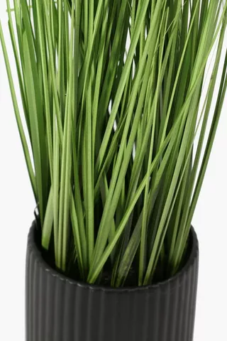 Ribbed Potted Grass