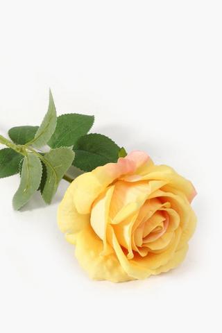 Elegant Rose Single Stem