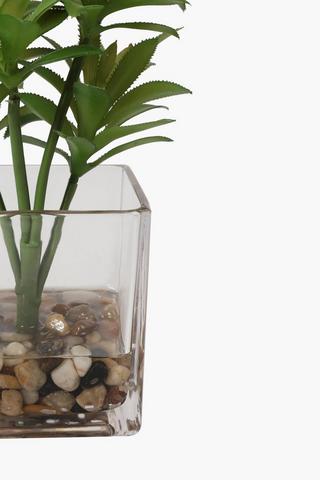 Spikey Plant In Glass Pot