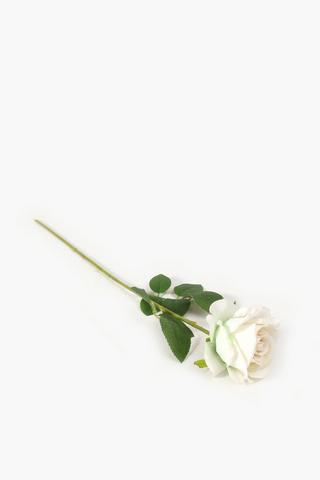 Elegant Rose Single Stem