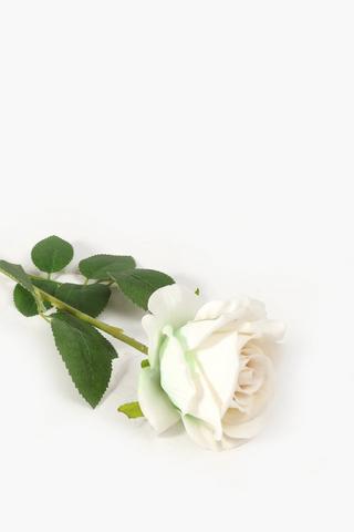 Elegant Rose Single Stem