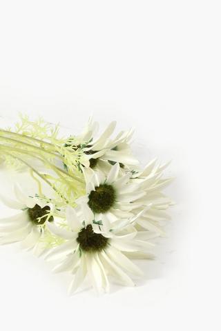 Daisy Single Stem