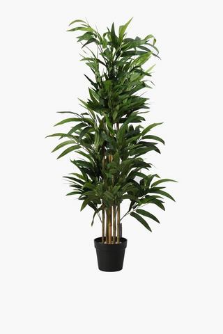 Bamboo Tree Medium