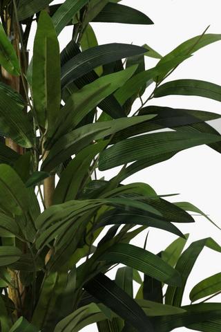 Bamboo Tree Medium