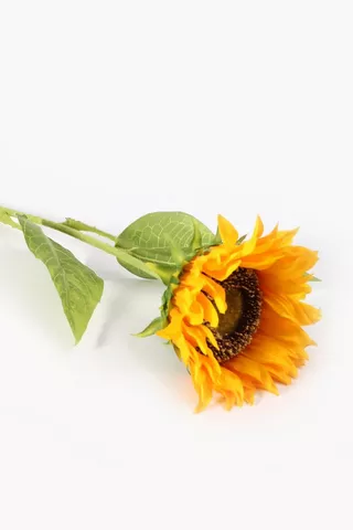 Sunflower Single Stem, Large