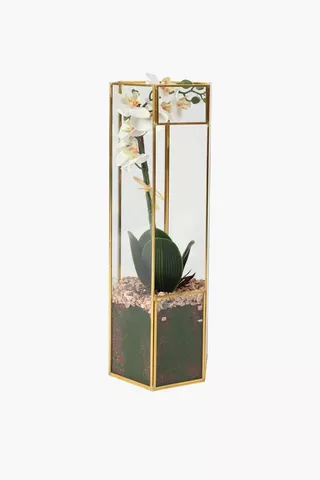 Glass Terrarium Orchid