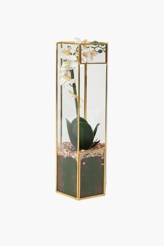Glass Terrarium Orchid