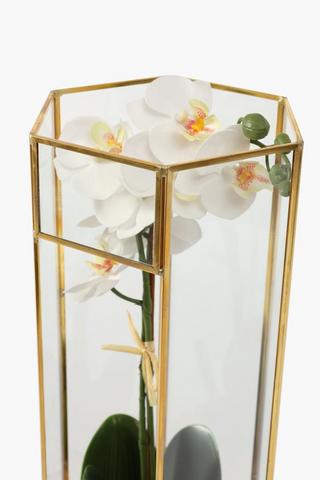 Glass Terrarium Orchid