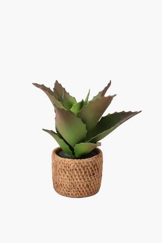 Ceramic Woven Pot Aloe