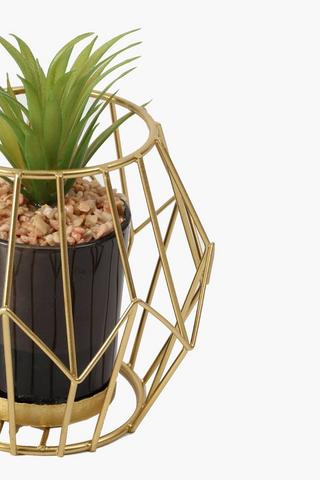 Aloe In Prism Pot