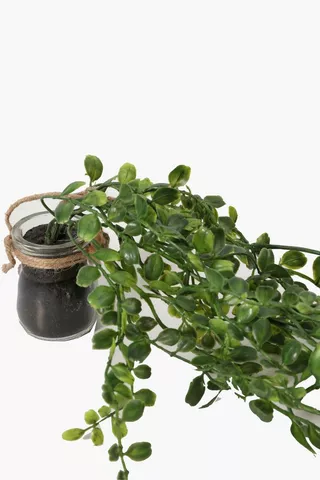 Hanging Greenery In Glass Pot
