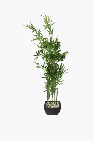 Urban Potted Bamboo Plant, Medium