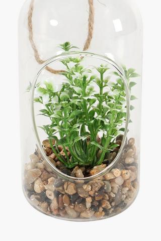 Hanging Glass Bottle Succulent