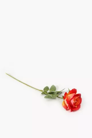 Elegant Rose Single Stem