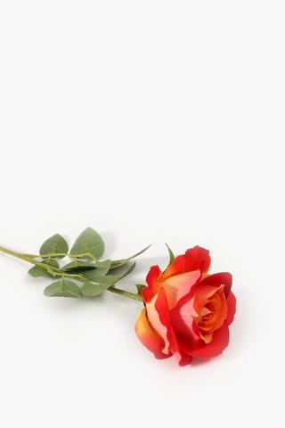 Elegant Rose Single Stem