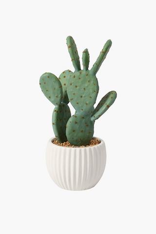 Ripple Pot Cactus, 26cm