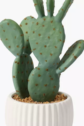 Ripple Pot Cactus, 26cm