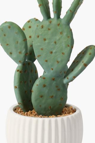 Ripple Pot Cactus, 26cm