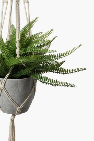 Macrame Hanging Fern, Large