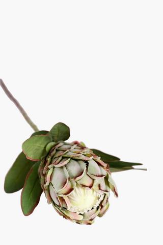 Protea Single Stem