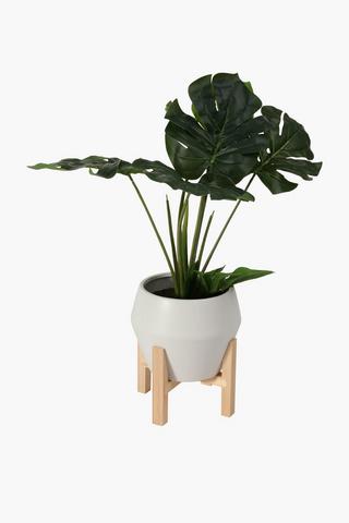 Ceramic Potted Monstera Plant