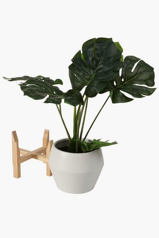 Ceramic Potted Monstera Plant
