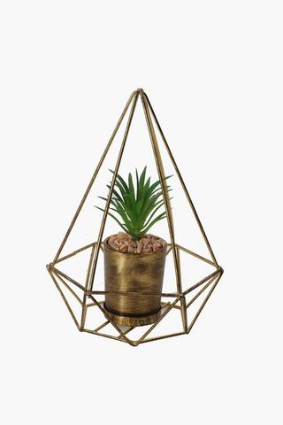 Succulent In Metallic Triangular Pot