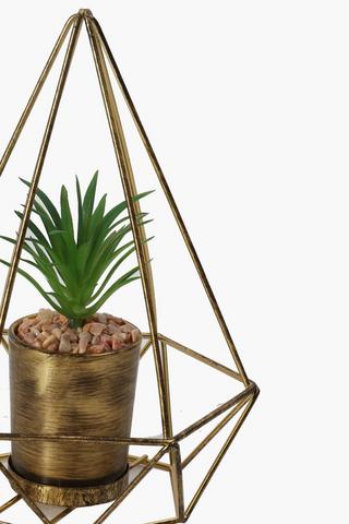 Succulent In Metallic Triangular Pot