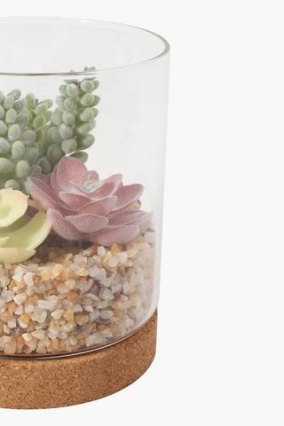 Succulent In Glass Pot
