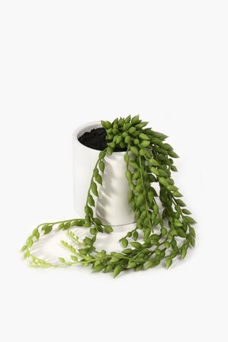Ceramic Potted String Of Pearl