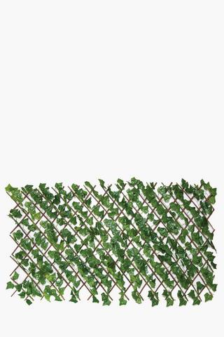 Ivy Privacy Trellis Large