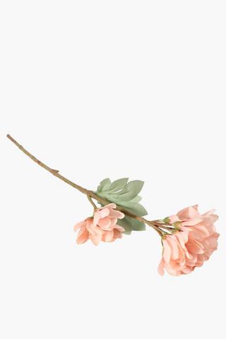 Flower Single Stem