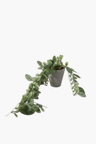 Cement Potted Trailer Plant