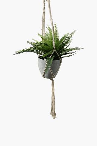 Hanging Macrame Fern